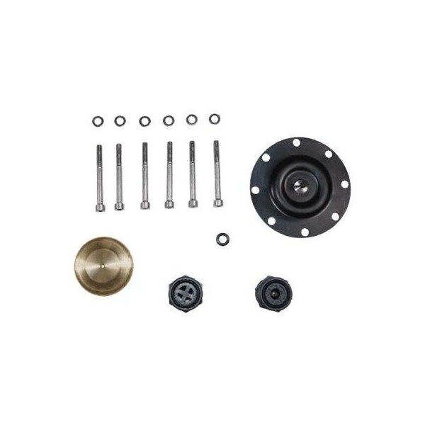 Pump Repair Parts- Kit, maint DMX221-115 PVC/E/SS, DMX Series.